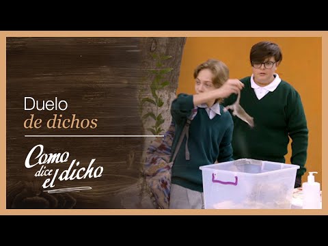 Duel of sayings: Everything tastes better when you're hungry | As the saying goes