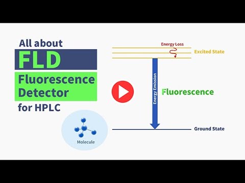 What is a Fluorescence Detector (FLD)?