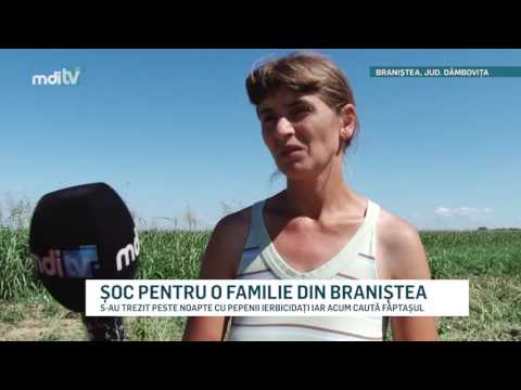 SOC PENTRU O FAMILIE DIN BRANISTEA   YOUTUBE