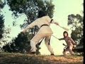 Shaolin King Boxer