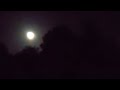 Moons and Horror shows Andrew Baird Patchworks Zutons cover