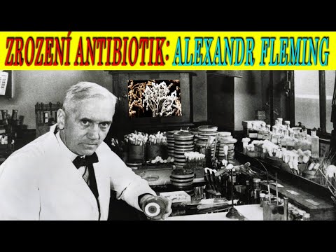 ZROZENÍ ANTIBIOTIK: Alexandr Fleming