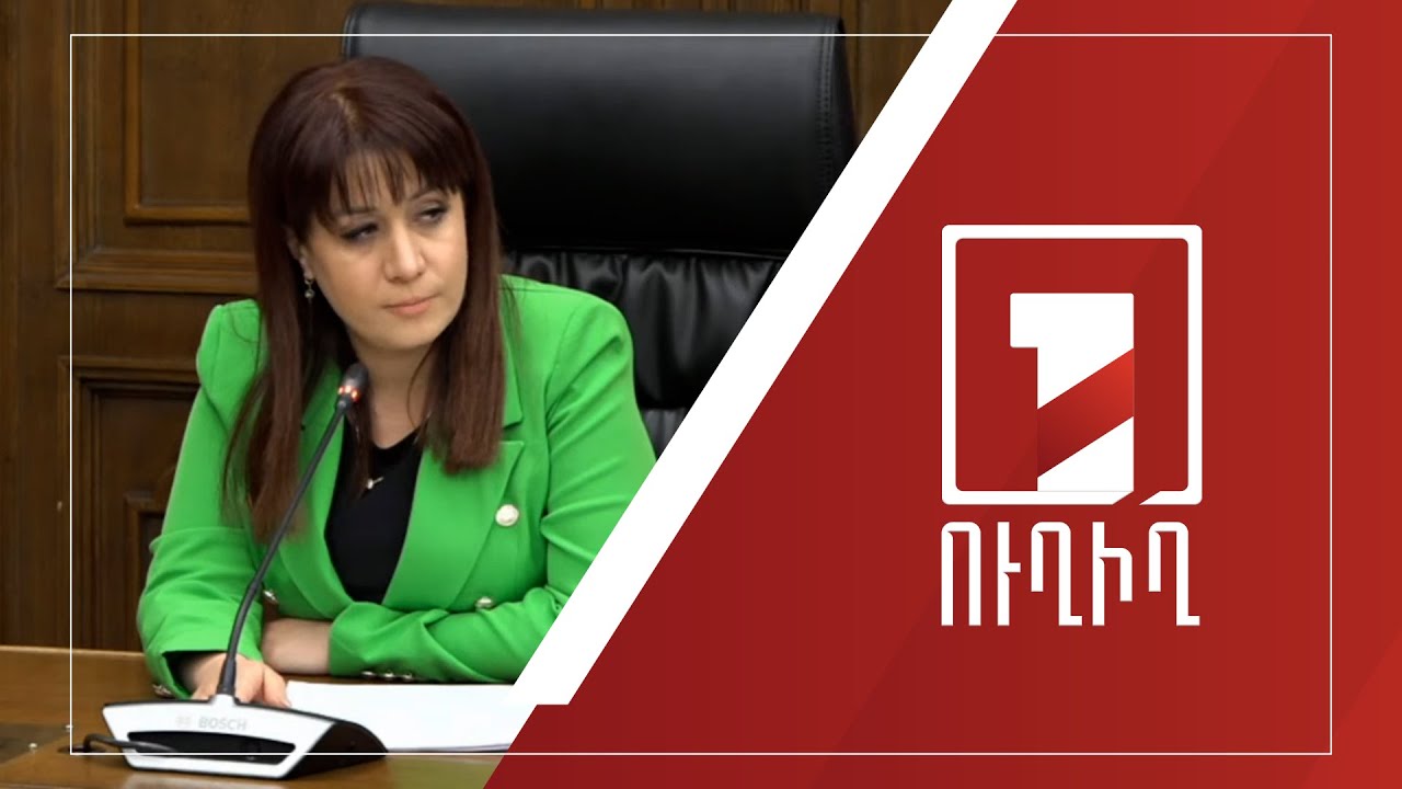 ՀՀ ԱԺ մշտական հանձնաժողովների համատեղ նիստը շարունակվում է | ՈՒՂԻՂ