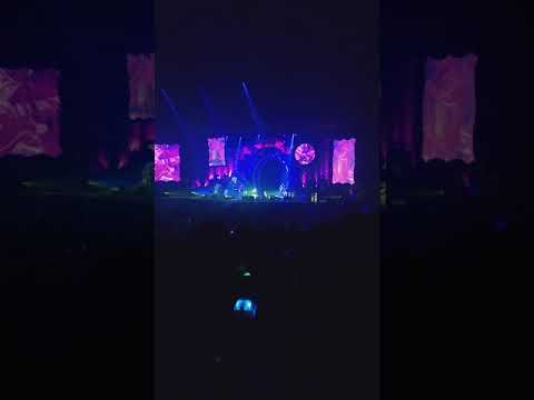 잔나비 - The secret of hard rock (Fantastic old-fashioned returns! 190901)