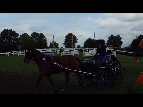 Fahrturnier Ostenfelde 19.8.2017