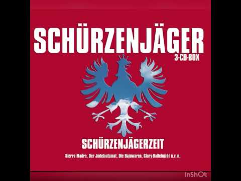 Schürzenjäger - Dafür mach ma Musik