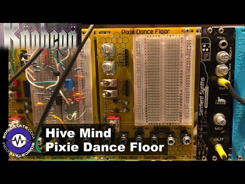Knobcon 23:Hive Mind  Eurorack Pixie Dancefloor  Module