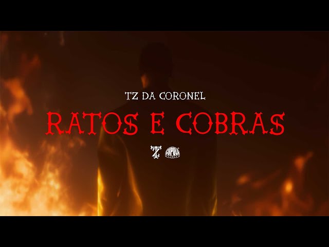 Download Tz da Coronel – Ratos e Cobras