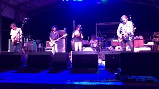 The Magpie Salute: Fearless