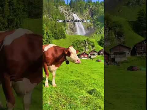 Zacapa guatemala 🇬🇹👏🏻 #feed #viral #parati #mexico #guatemala #memes #noticias #zacapaguatemala