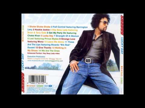 Shake Shake Shake lyrics