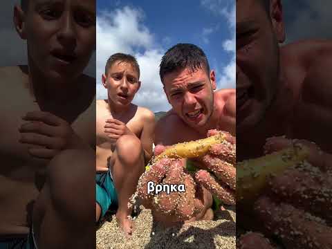 ΣΚΟΥΛΗΚΙ ΣΤΗ ΘΑΛΑΣΣΑ