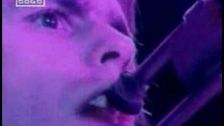 Grateful Dead: Sugar Magnolia