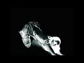 Lithe If I Could Official Music Video