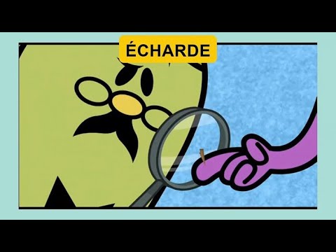 FIPA FVV #77 ÉCHARDE, Les Monsieur Madame - Bobos, French Video Vocabulary (with Bonus Word)