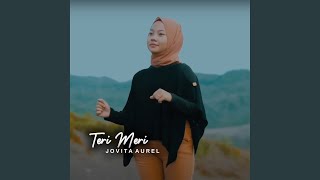 Download lagu Teri Meri mp3