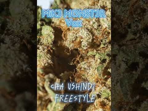 MIKE MONSTER VOX - CHA USHINDI FREESTYLE