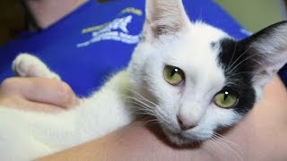 Creating a more humane society