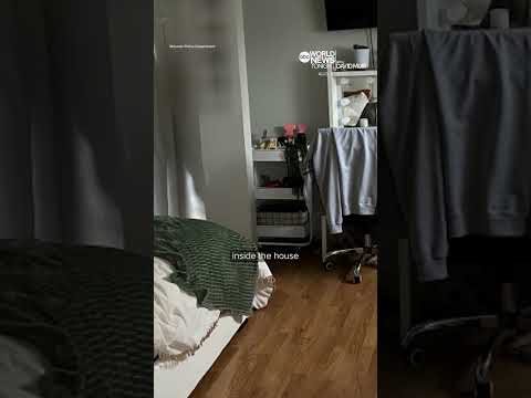 Idaho college murders crime scene photos released following Kohberger sentencing