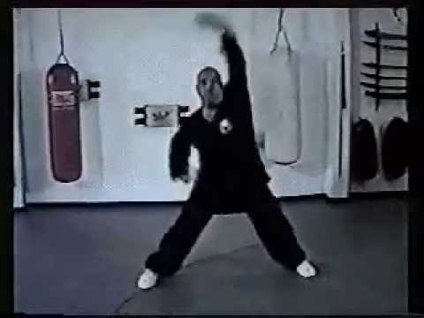 Shaolin - Basic Training - Form 4