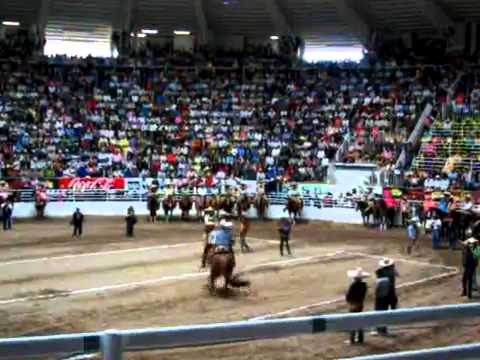 la mejor cala de caballo hasta ahorita