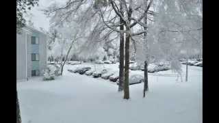 preview picture of video 'Snow Storm Timelapse Carrboro, NC 2-26-15'