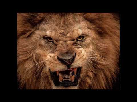 SGARFACE (MirsacaveliC) - KILLUMINATION