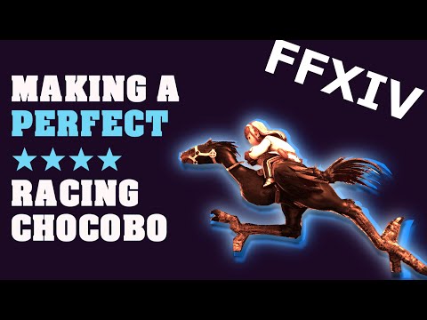 Breeding a Perfect Racing Chocobo in FFXIV