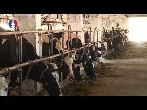 Свердловская область активно наращивает сельскохозяйственный потенциал