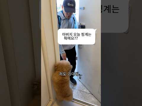 딸 집에서 강아지 훔쳐가는 아빠 근황