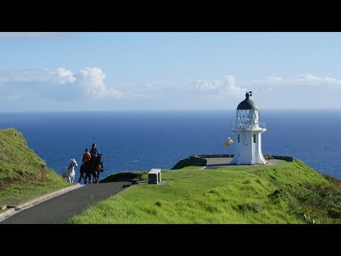 The Adventure Begins