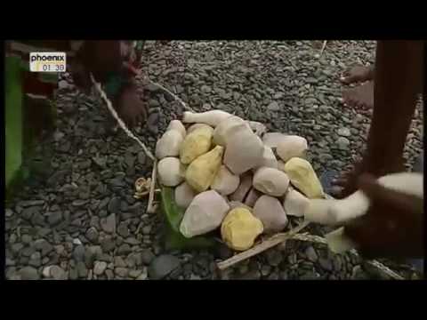 Die Südsee [Dokumentation deutsch]