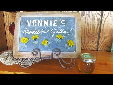 LÖWENZAHNGELEE FÜR DIE WAGEMUTIGEN!