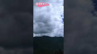丹生川上神社　龍神様現る！
