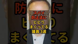 【3選】スパイ防止法にビビりまくってる議員 #政治 #自民党    #shorts   #高市早苗    VOICE:VOX 青山龍星 VOICE:VOX Nome