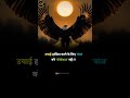 Motivational Shayari Status Success Status Inspirational Quotes Status Shorts​