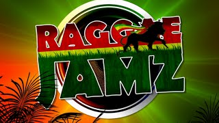 Reggae Lovers Hits Vol 1 - DJ ShaRoc