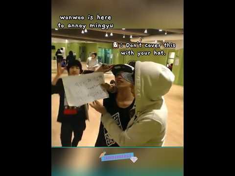 the moment when pre-debut wonwoo annoying mingyu 😭😆 #seventeen #wonwoo #mingyu