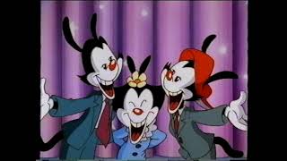 Kadr z teledysku Tři Muške-Warneři tekst piosenki Animaniacs (OST)