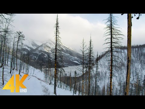 4K Winter Beauty of Canadian Nature - Part #4 - Short Preview Video
