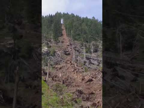 Monty 4100 Holz Klade