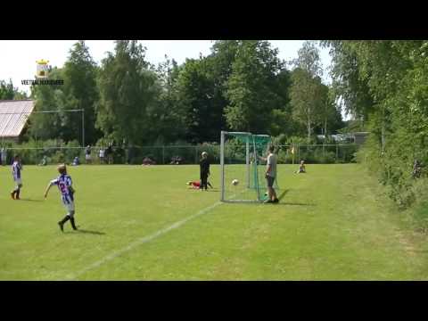 HZVV - Heerenveen (werelddoelpunt)