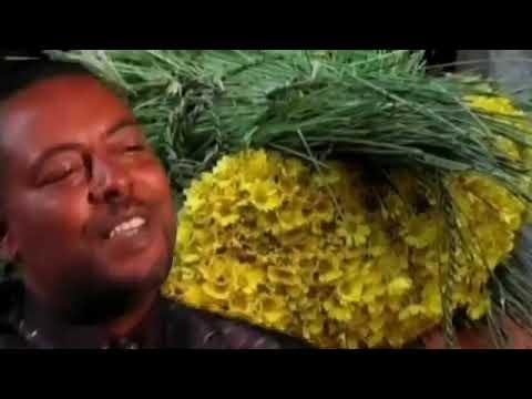 Demere Legesse ደመረ ለገሠ   Awdamet The Third ዓውዳመት ሶስተኛው