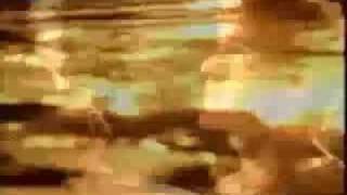 d�but du 501