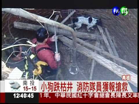 摔落枯井數日 小狗夜夜哀號!