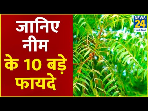 Sanjeevani Tips: डॉक्टर प्रताप चौहान से जानिए नीम के 10 बड़े फायदे