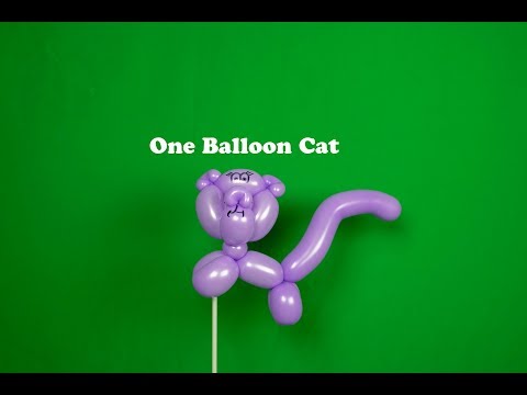 Learn how to make a one balloon cat with balloon twisting