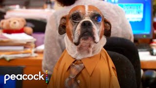 The Office | Every Cold Open (Season 8 Part 2)