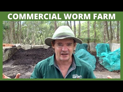 Martys Garden Commercial Worm Farm Update