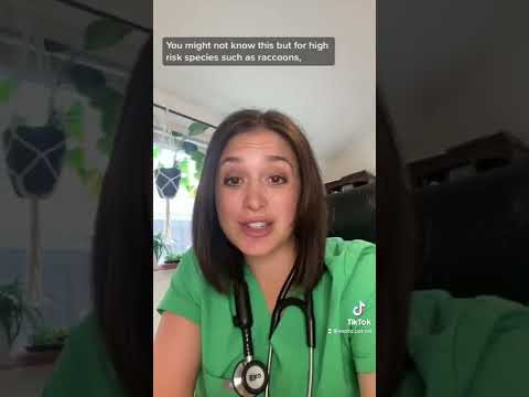 アライグマなどの野生動物を捕獲してはいけない理由 - 専門家に任せてください。